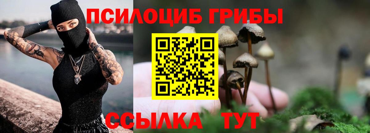 Галлюциногенные грибы Psilocybine cubensis Кириши